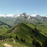 Frances Conner Tryon - @francestryon - Instagram