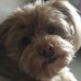 Frances Conners - Facebook