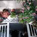 Frances Cooley - Facebook