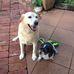 Frances Cotten - Facebook