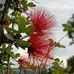 Francis Cotter - Facebook