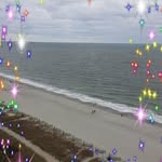 Frances Covington - @frances.covington.165 - Instagram