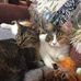 Frances Creech Agee - Facebook