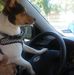 Frances Crook - Facebook