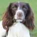 Lynn Frances Crook - Facebook