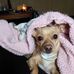 Frances Crow - Facebook
