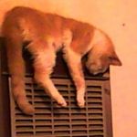 Frances Crow - @crowfrancone - Instagram