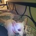 Frances Crowe - Facebook
