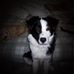 Frances Dabney - Facebook