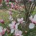 Frances Daugherty - Facebook