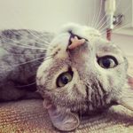 Frances Day - @froodyartbooks - Instagram