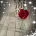Frances Dees - Facebook