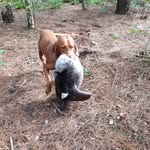Francesco de Vries - @devriesfrancesco - Instagram
