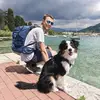 franzdewalt - @franzdewalt - TikTok