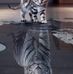 Frances Dibble - Facebook