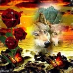 Frances Dietrich - Facebook