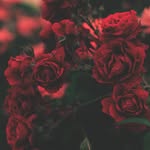 Dionisio francés - @dionisio.frances - Instagram