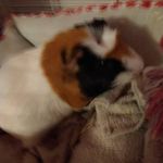 Degbk Bobb - @frances.dodd.7796 - Instagram