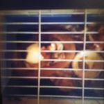 Frances Dodd - @francesdodd9 - Instagram