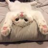 Frances Dotson - @francesdotson_7353 - TikTok
