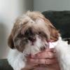 Frances Dotson - @frances.dotson - TikTok