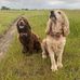 Frances Doughty - Facebook
