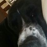 frances_dover - @frances_dover - Instagram