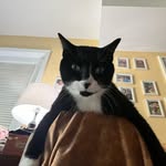 Frances Dowd-Dilsaver - @francesdilsaver - Instagram