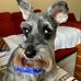 Frances DuBose - Facebook