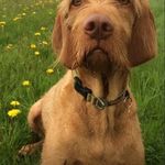 Frances Duff - @francesduff68 - Instagram