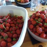Frances Dufficy - @francesdufficy - Instagram
