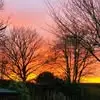 Frances Duffy - @frances.duffy - TikTok