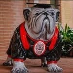 UGA Mary Frances Early COE English Education - @ugaenglished - Instagram