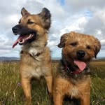 Frances Eccles - @freccles72 - Instagram