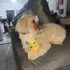 eddy frances - @eddy.frances - TikTok
