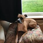 Frances Egan - @francesegan980 - Instagram