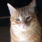 Frances Fisher Elder - @bingotoo - Instagram