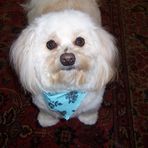 Frances Eldredge - Facebook