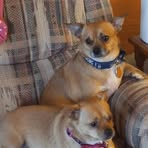 Frances Jo Elkins - Facebook