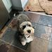 Frances Ellis - Facebook