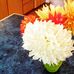 Frances Emery - Facebook