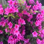 Frances Epp - Facebook