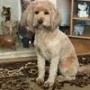 Frances Epps - @frances.epps4 - TikTok