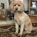 Frances Epps - Facebook