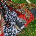 Elizabeth Frances Erwin - Facebook