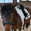 Frances Neverson - @francesneverson_2858 - TikTok
