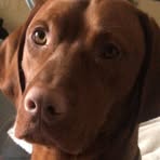 Frances Farrell - Facebook