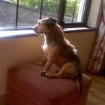 Frances Farrell - @frances.farrell67 - Instagram