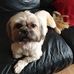 Frances Farrell - Facebook