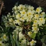 Mary Frances Farrell - @maryfrancesfarrell - Instagram